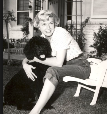 Illustration for article titled Sigh...Doris Day forever